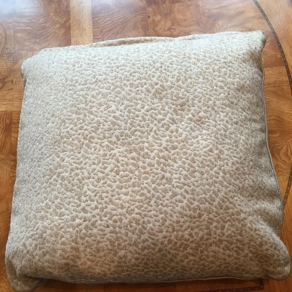 TAUPE SOFA Wildcat Print Pillow!